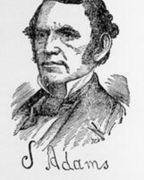 Portrait of Stephen Adams