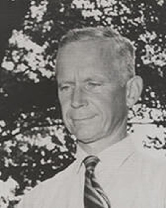 Portrait of Perkins Bass