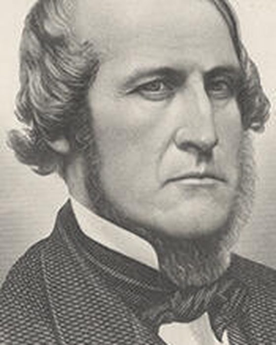 Portrait of James Brooks