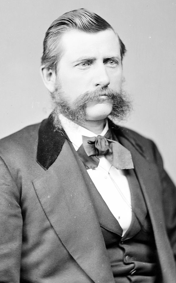 Portrait of Stephen Alonzo Cobb