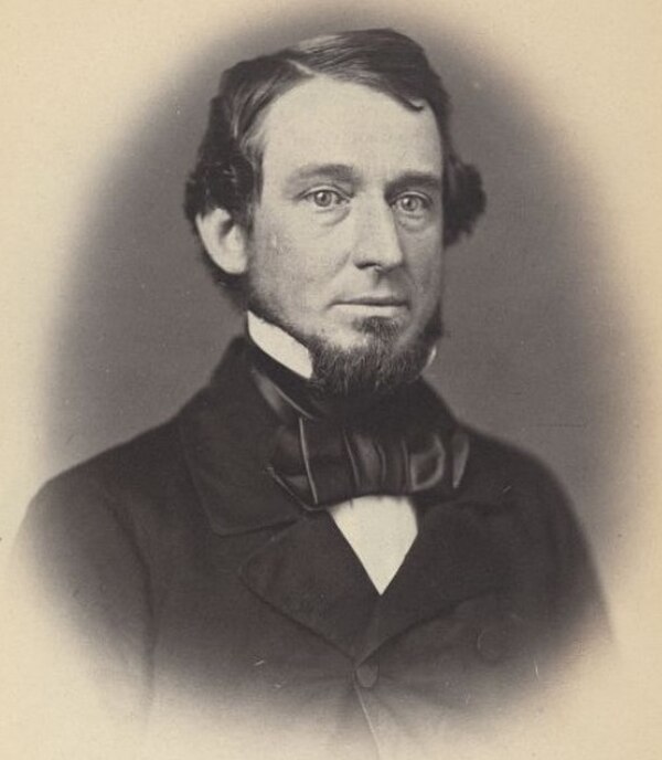 Portrait of Linus Bacon Comins