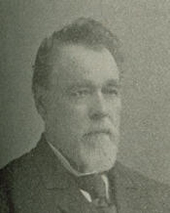 Portrait of David Browning Culberson