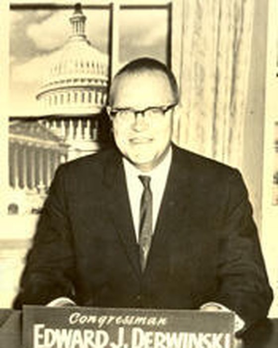 Portrait of Edward J. Derwinski