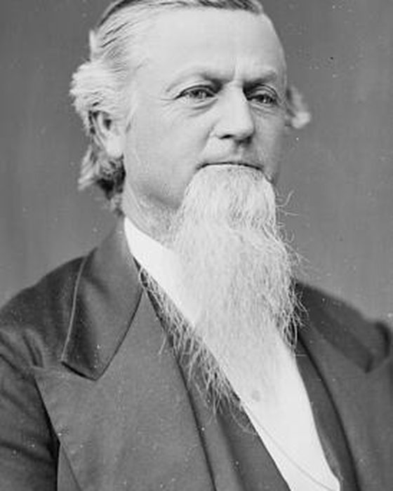 Portrait of George Gibbs Dibrell