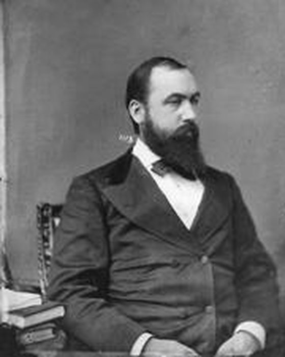 Portrait of Stephen Wallace Dorsey