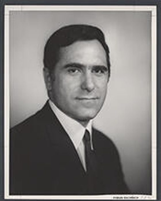 Portrait of Nick Galifianakis