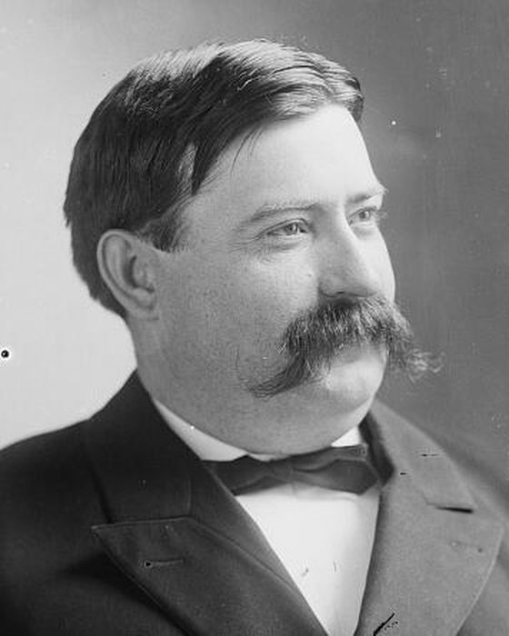 Portrait of Levin Irving Handy