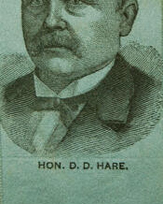 Portrait of Darius Dodge Hare
