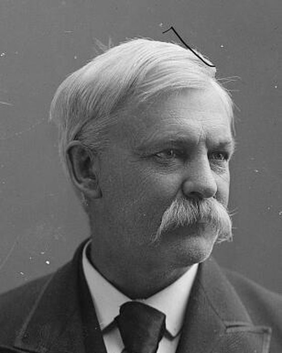 Portrait of William Henry Harries