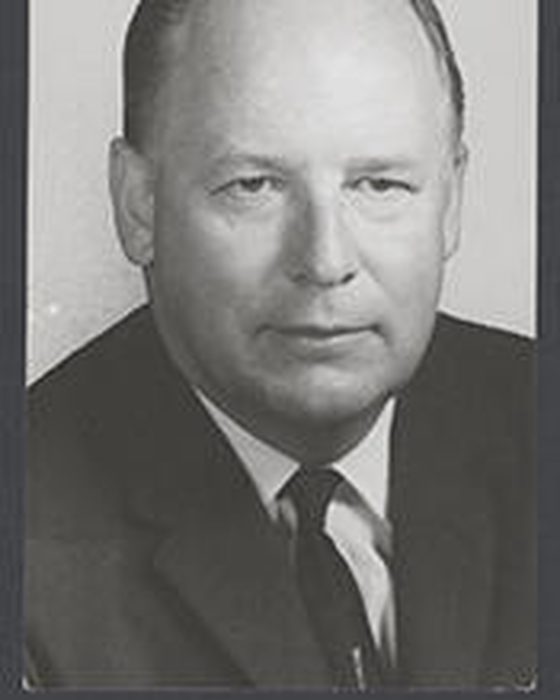 Portrait of Wayne L. Hays