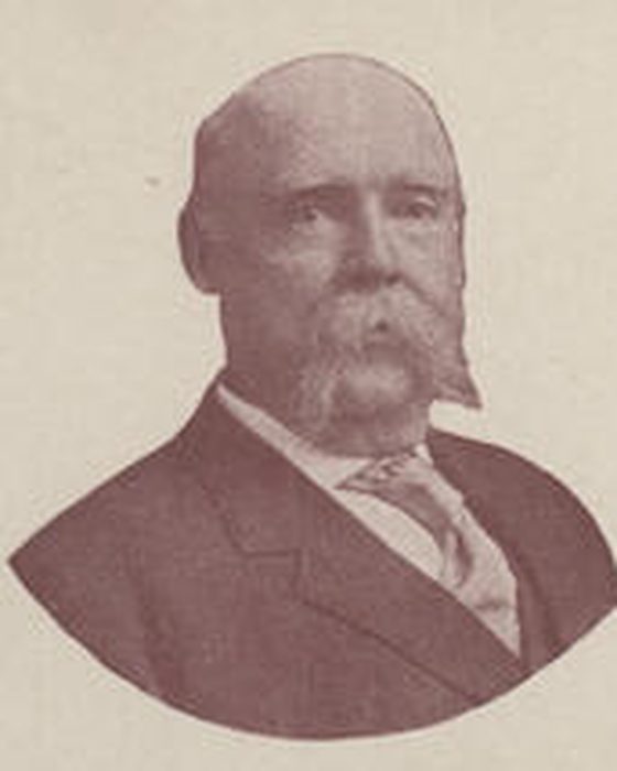 Portrait of David Adams Hollingsworth