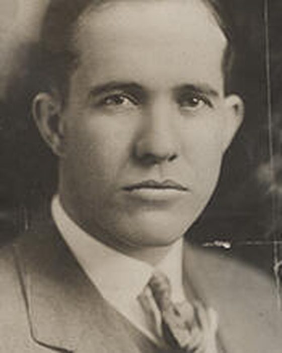 Portrait of David William Hopkins