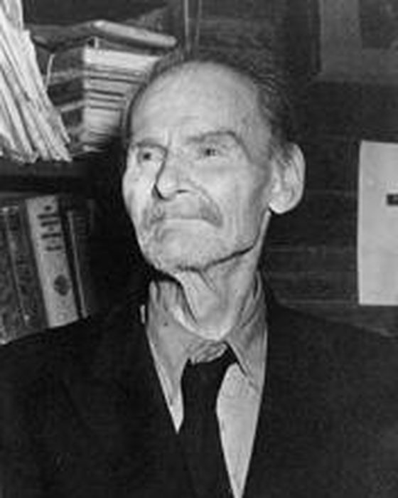 Portrait of Andrew Jackson Houston