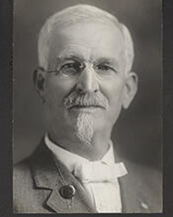 Portrait of William Cannon Houston
