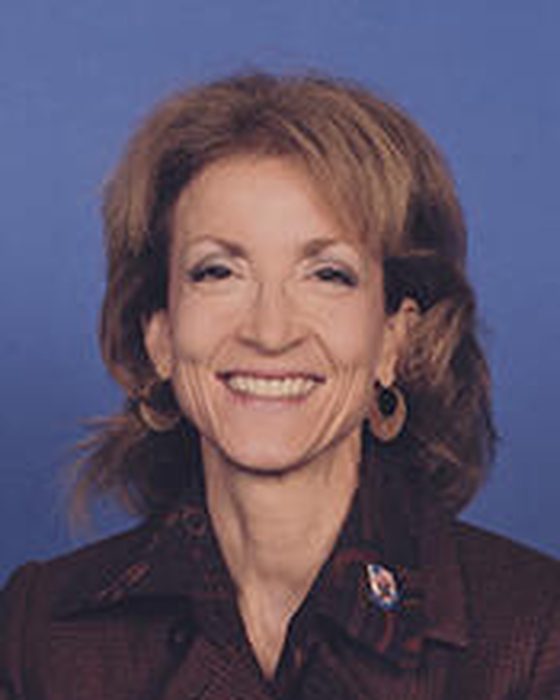 Portrait of Nan A. S. Hayworth