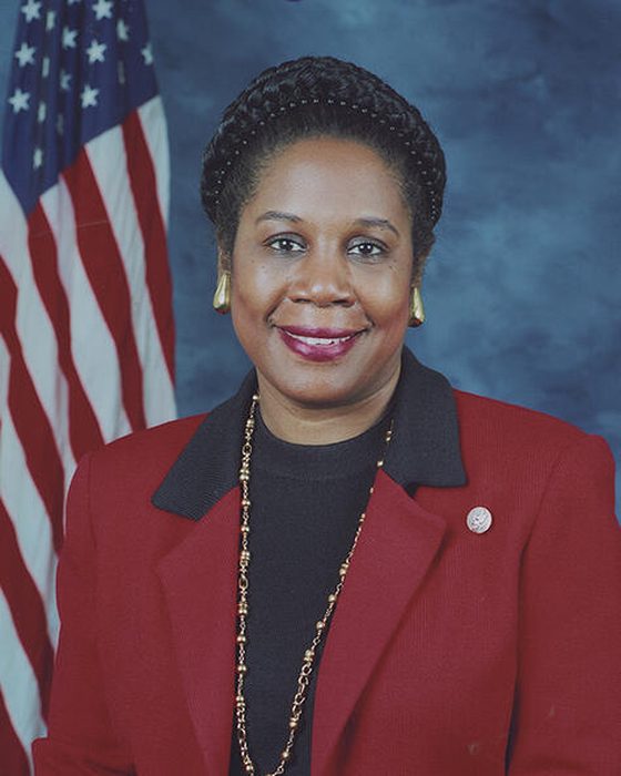 Portrait of Sheila Jackson Lee