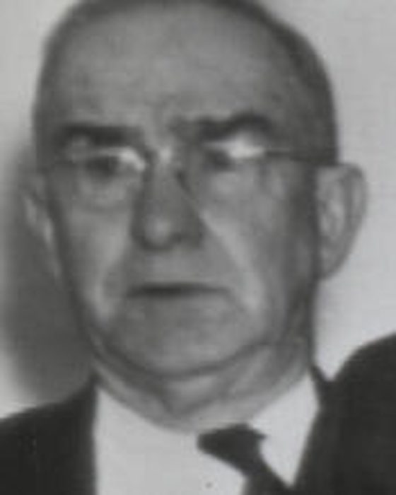 Portrait of Luther Alexander Johnson