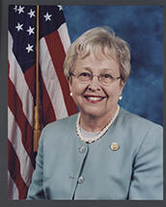 Portrait of Nancy Lee Johnson