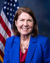 Portrait of Ann Kirkpatrick