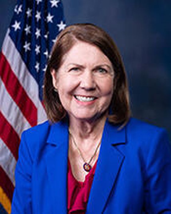 Portrait of Ann Kirkpatrick