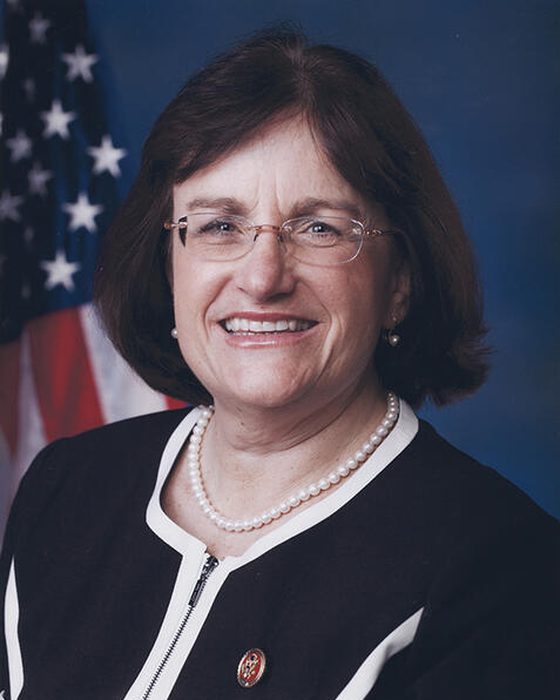 Portrait of Ann M. Kuster
