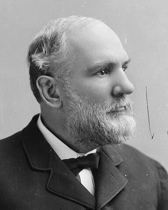 Portrait of William Henry Fitzhugh Lee