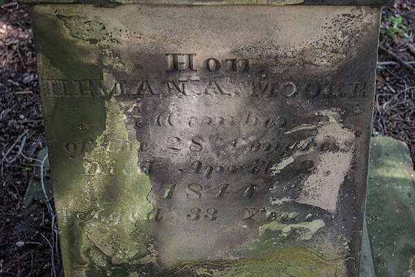 Portrait of Heman Allen Moore