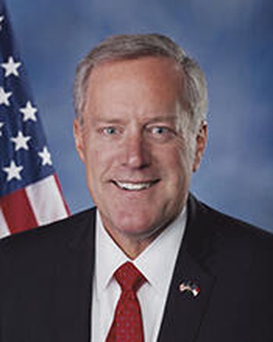 Portrait of Mark Meadows