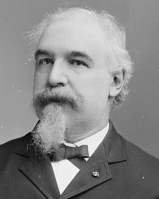 Portrait of Walter Cass Newberry