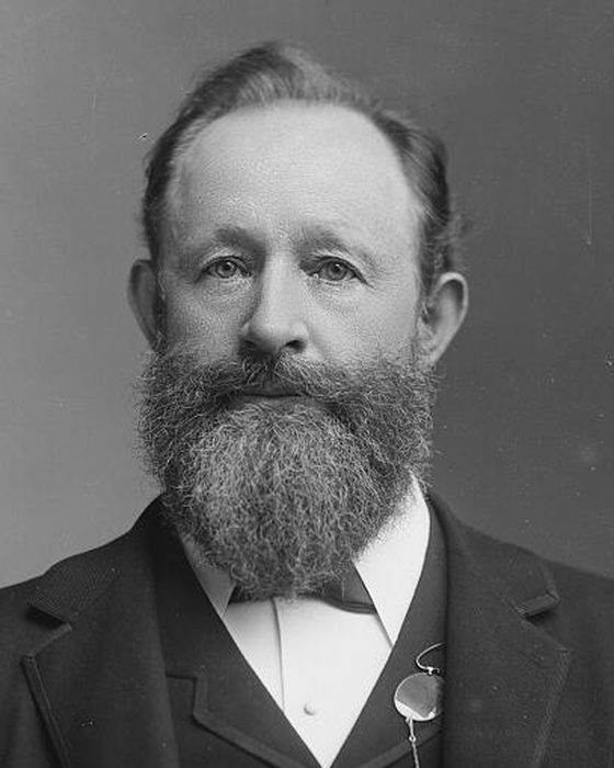 Portrait of Frederick Gottlieb Niedringhaus