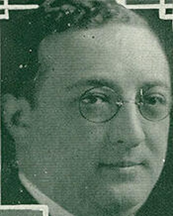 Portrait of Nathan David Perlman