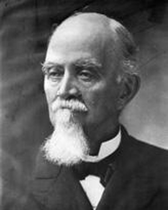 Portrait of Edmund Winston Pettus