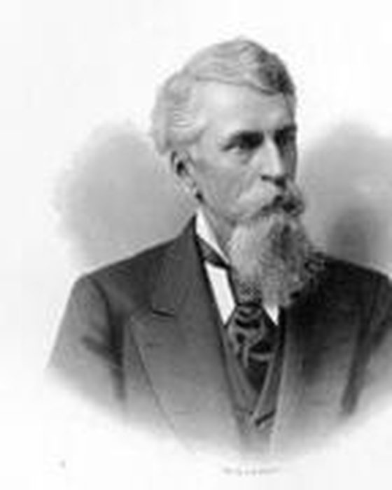 Portrait of Albert Gallatin Riddle