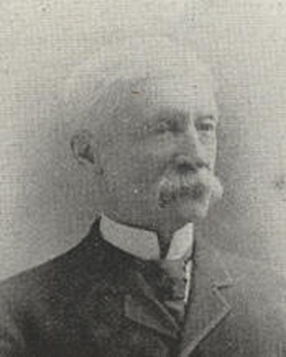 Portrait of Moses Tyler Stevens