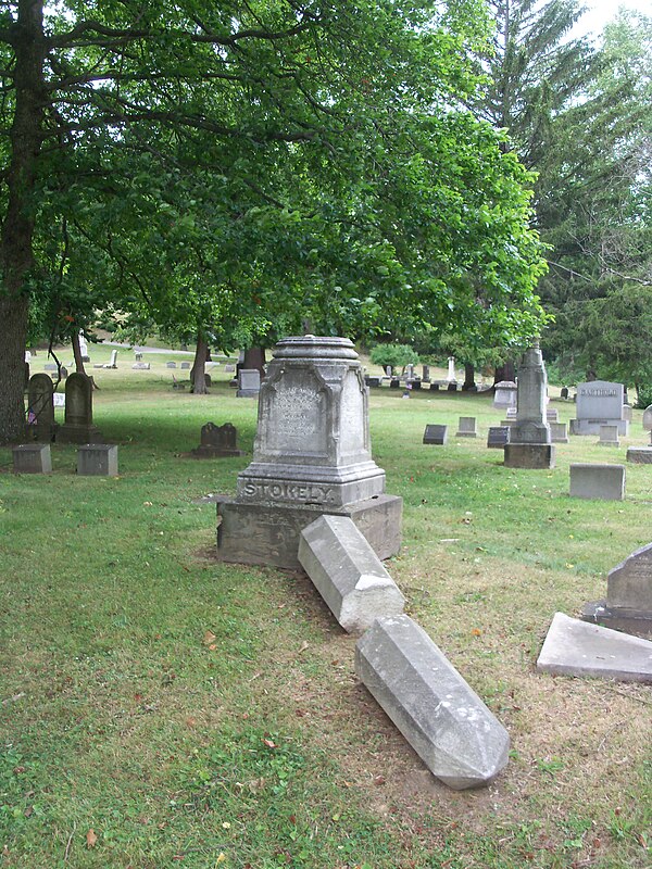 Samuel Stokely portrait