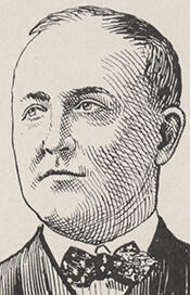 Portrait of Timothy Daniel Sullivan