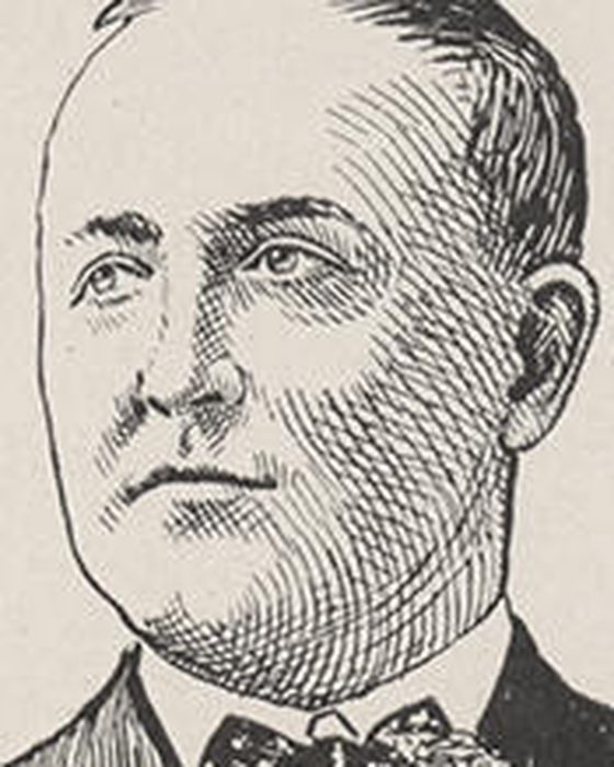 Portrait of Timothy Daniel Sullivan