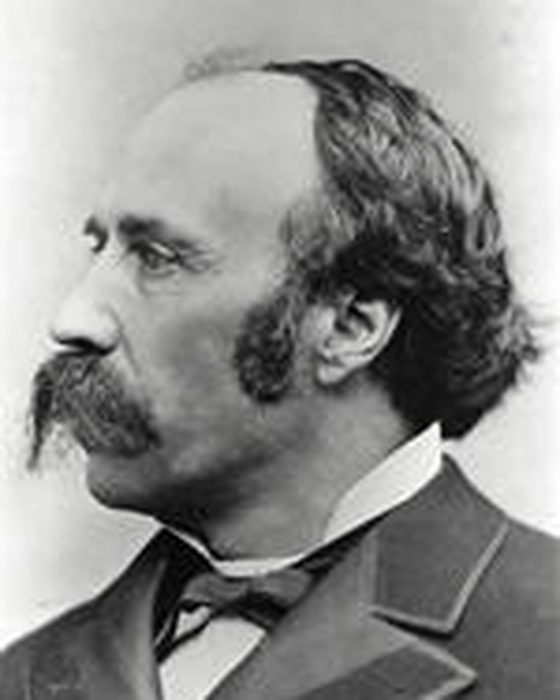 Portrait of Horace Austin Warner Tabor