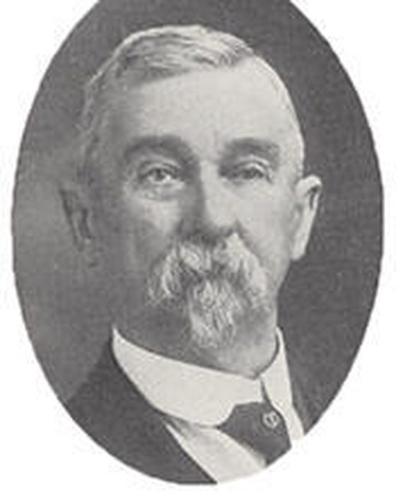 Portrait of Napoleon Bonaparte Thistlewood