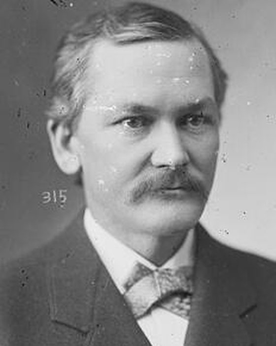 Portrait of Richard Wellington Townshend