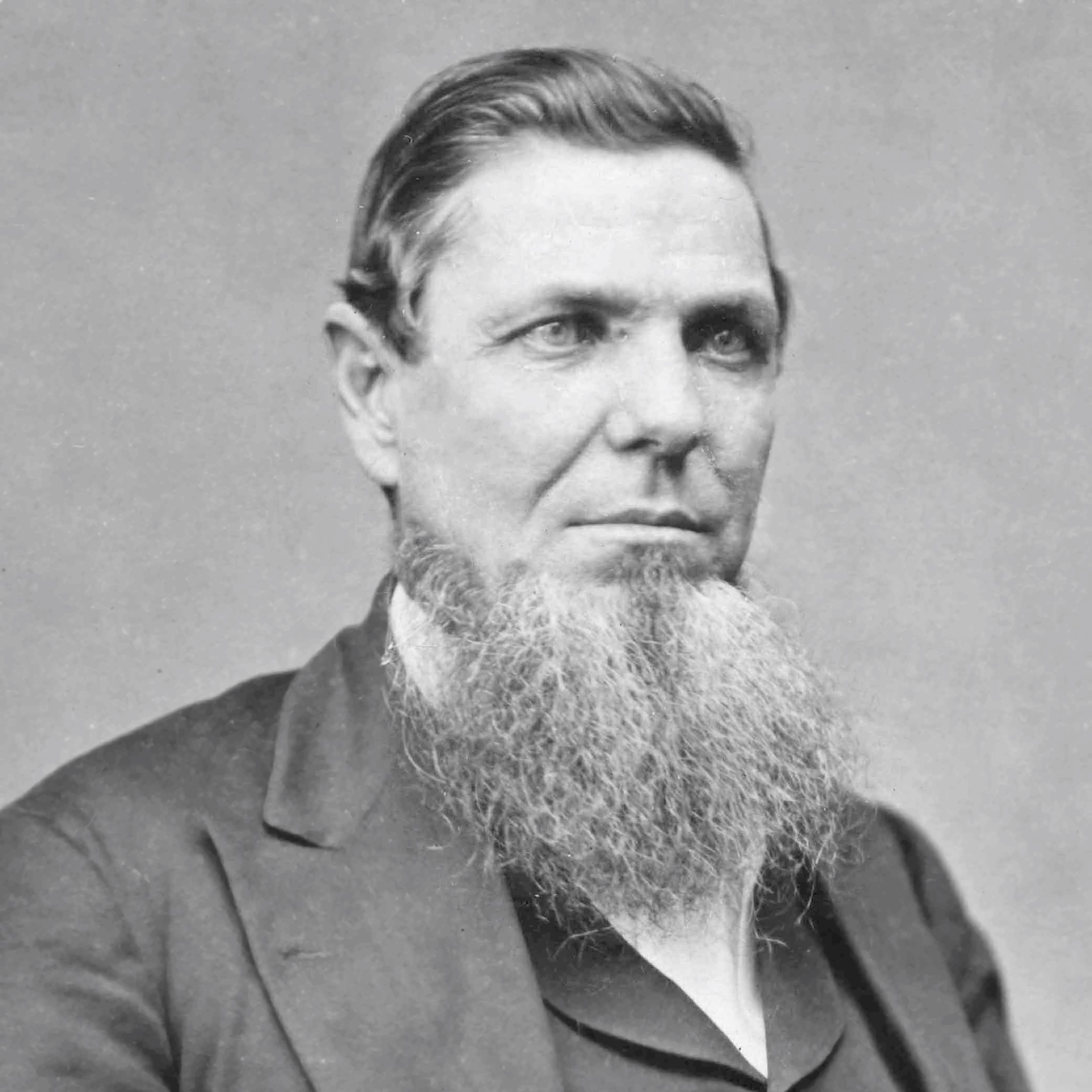 Andrew Jackson Hamilton portrait