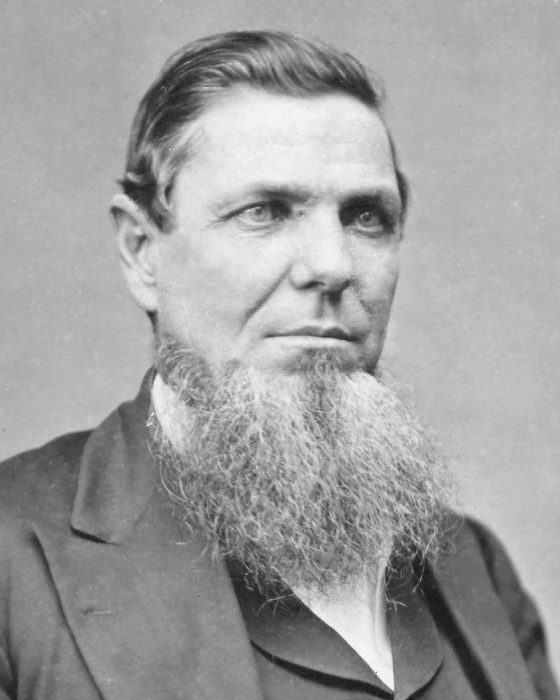 Portrait of Andrew Jackson Hamilton