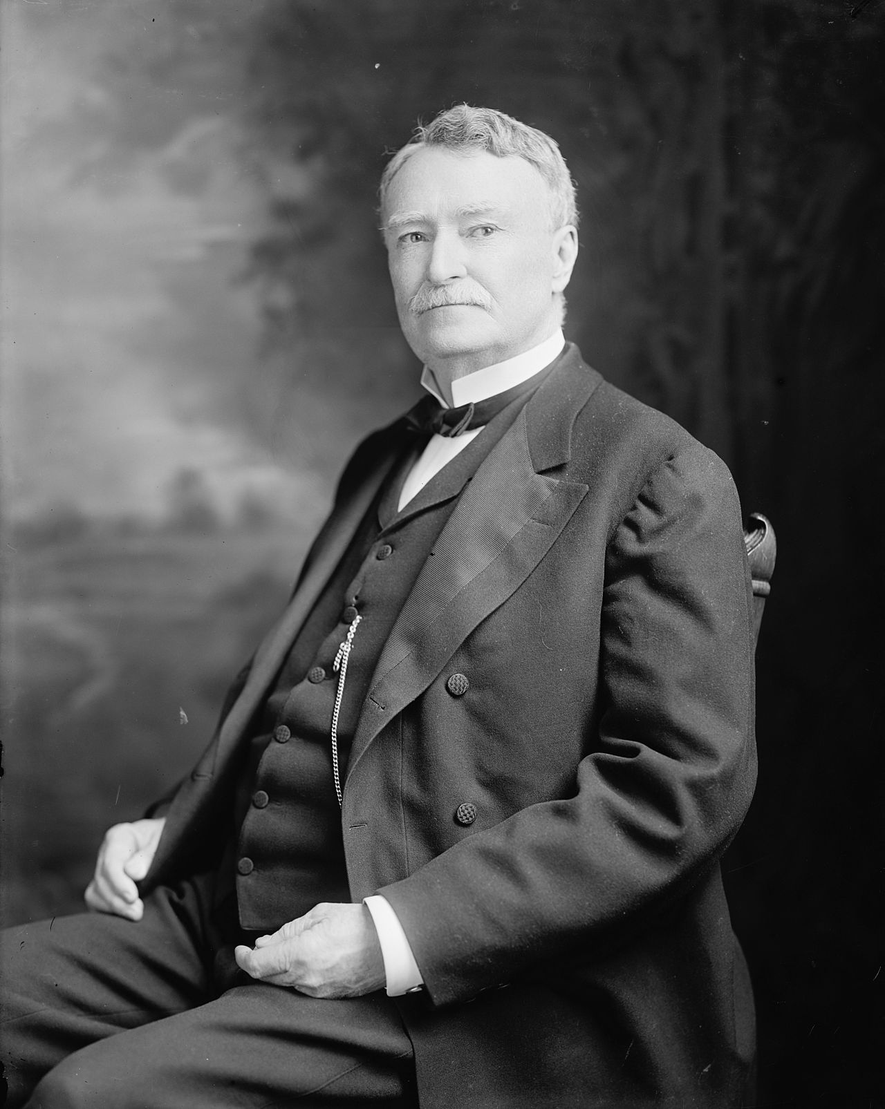Portrait of Anselm McLaurin