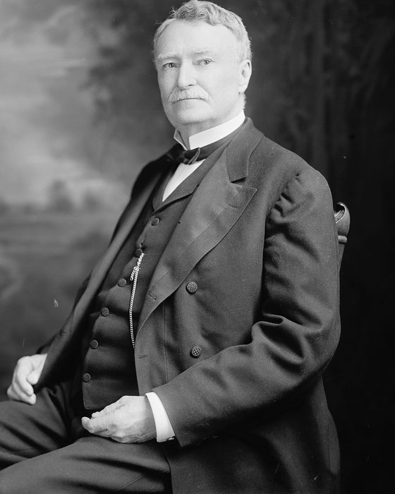 Portrait of Anselm McLaurin