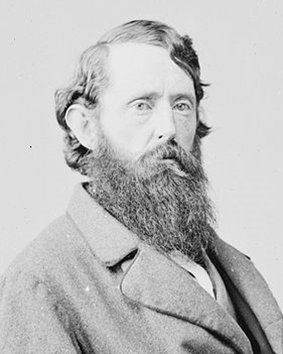 Portrait of Benjamin Gratz Brown