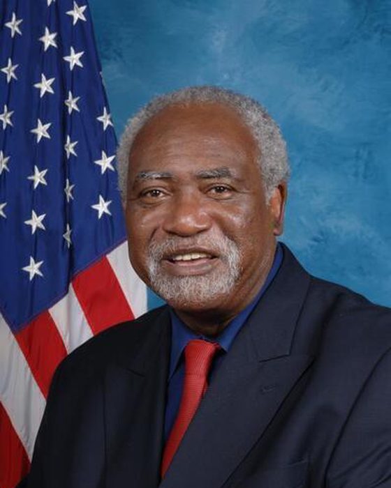 Portrait of Danny K. Davis