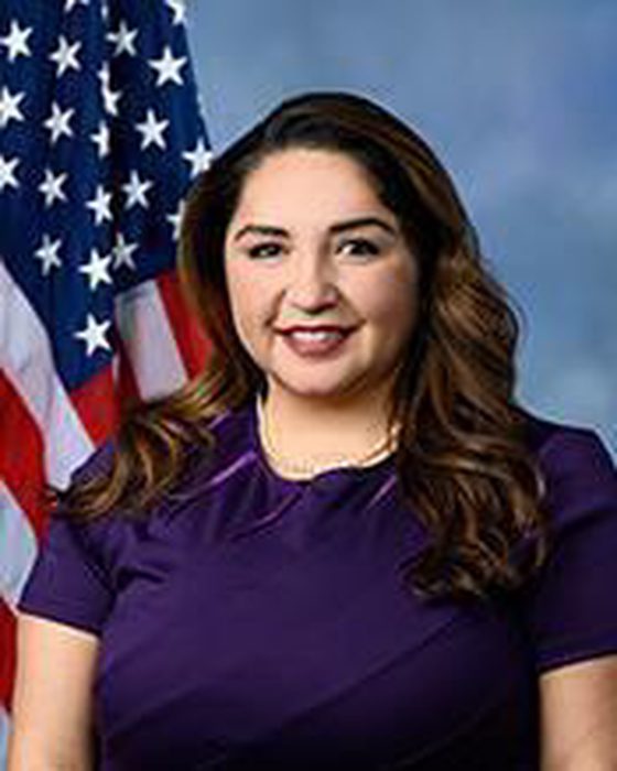 Portrait of Delia C. Ramirez
