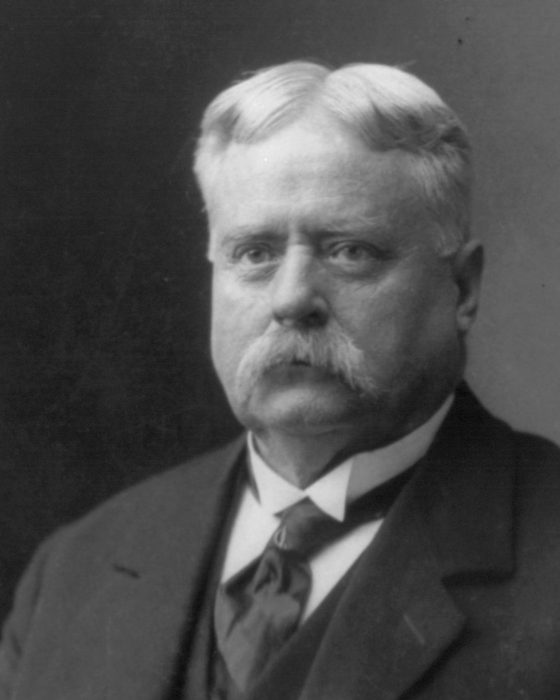 Portrait of Fitzhugh Lee