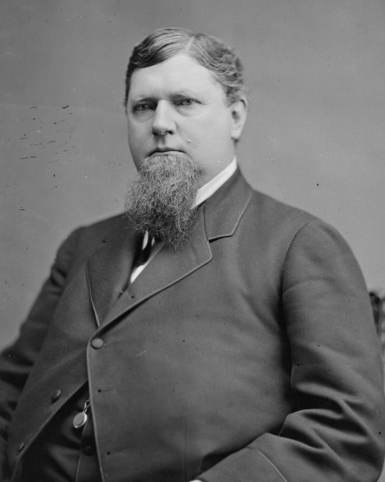 Portrait of Henry Martyn Hoyt