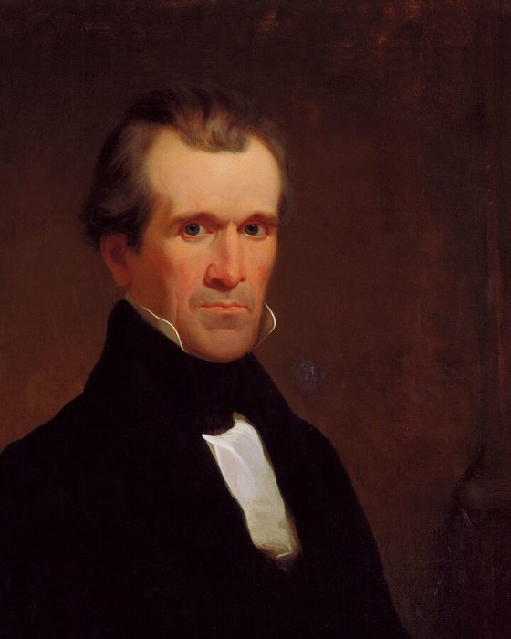 Portrait of James Knox Polk